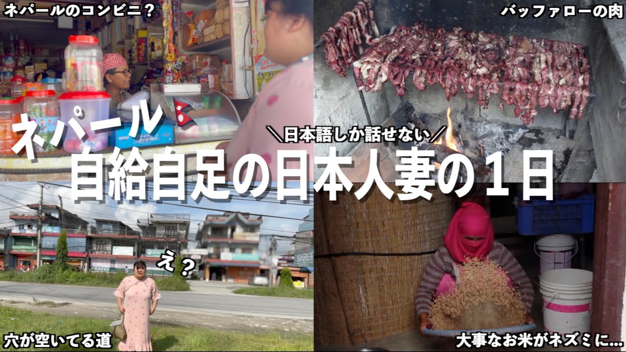 【国際結婚】自給自足するグルン族に嫁いだ日本人妻の１日 【日本の緑茶ネパール人に飲ませてみた】