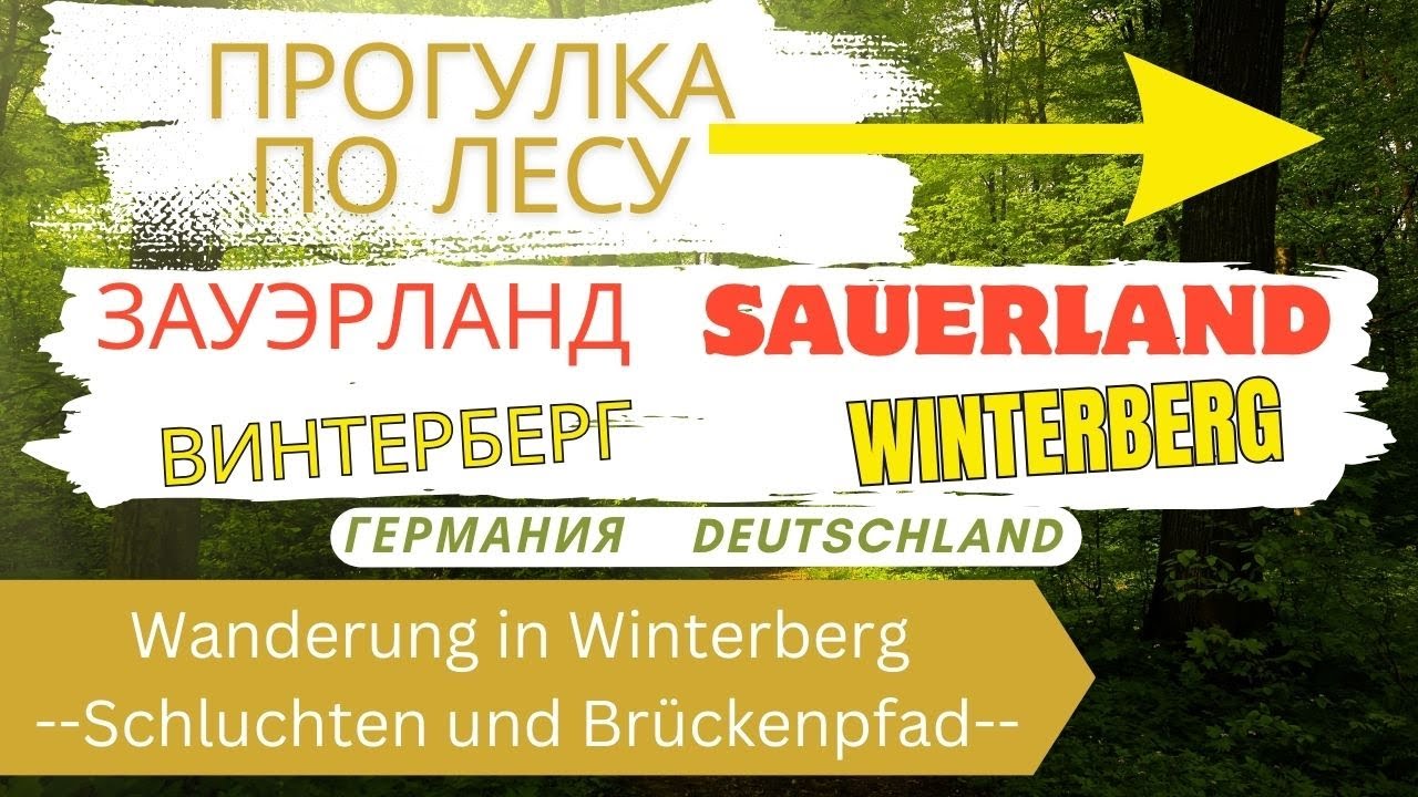 ГЕРМАНИЯ ЗАУЭРЛАНД ВИНТЕРБЕРГ Прогулка по ЛЕСУ Wanderung in Winterberg Schluchten und Br&uuml;ckenpfad 4K