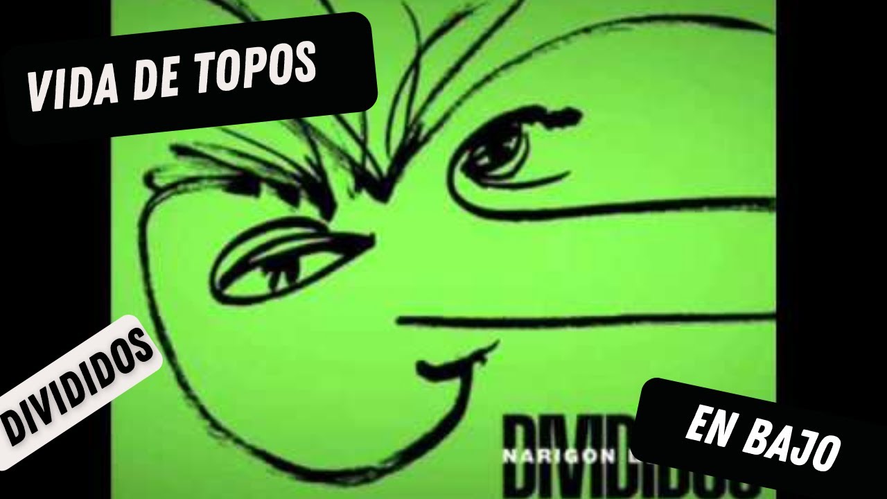 DIVIDIDOS, VIDA DE TOPOS EN BAJO C/TABS #DIVIDIDOS #DIEGOARNEDO #ELNARIGONDELSIGLO