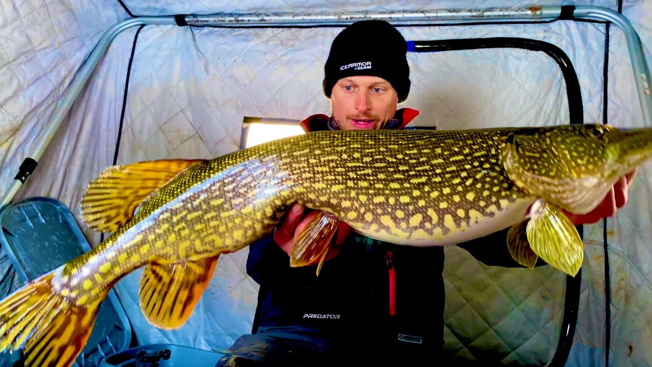 Successful end of the season chasing big pike on a small body of water!