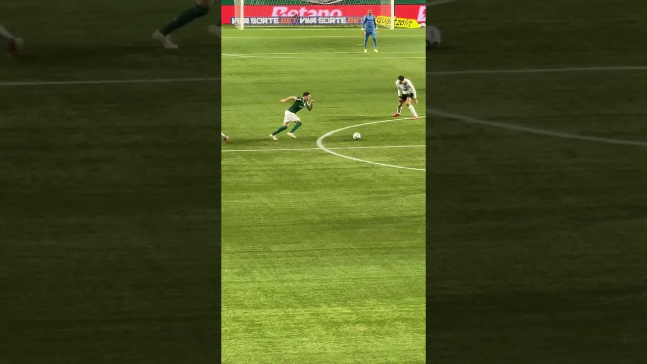 Veja o que o An&iacute;bal Moreno fez&hellip;. #palmeiras #futebol