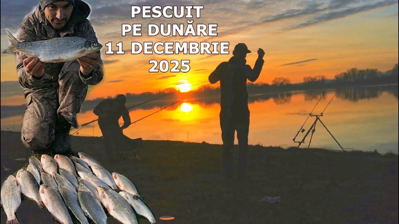Pescuit IARNA PE DUNARE cu MULTE TRĂSĂTURI dar si MULTE RATĂRI - 11 Decembrie 2025 