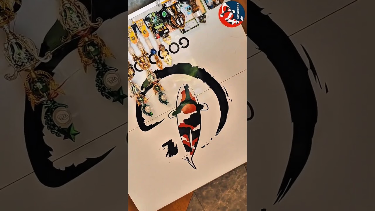 #koi #koifish #koifarm #koiindonesia #koijapan #koilokal #koiimport #goodonekoi #andromedakoi
