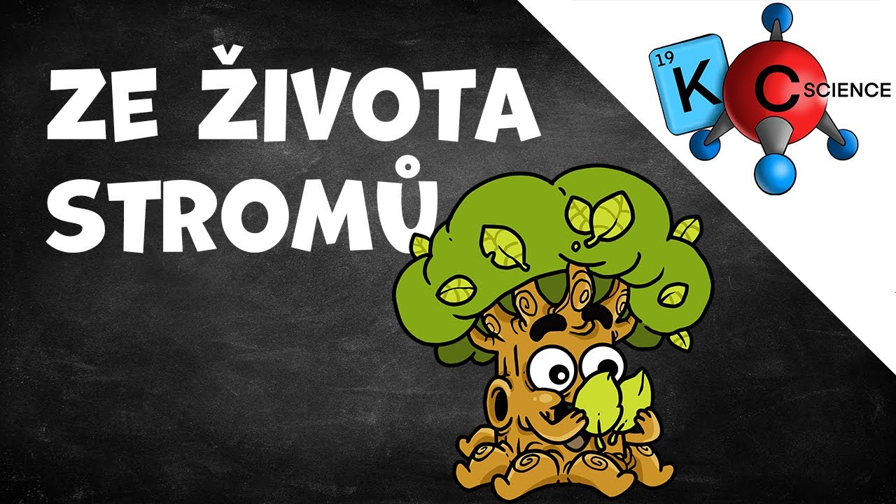 Ze života stromů