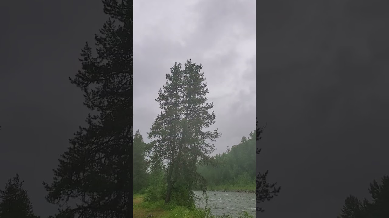 A Moment of Silence in Nature - Rainy Day by River (Pt 2)