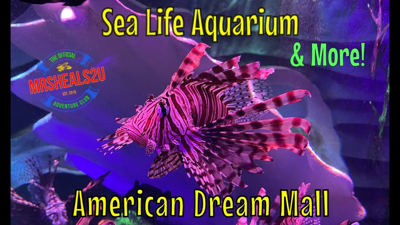 Sea Life Aquarium & More at American Dream Mall