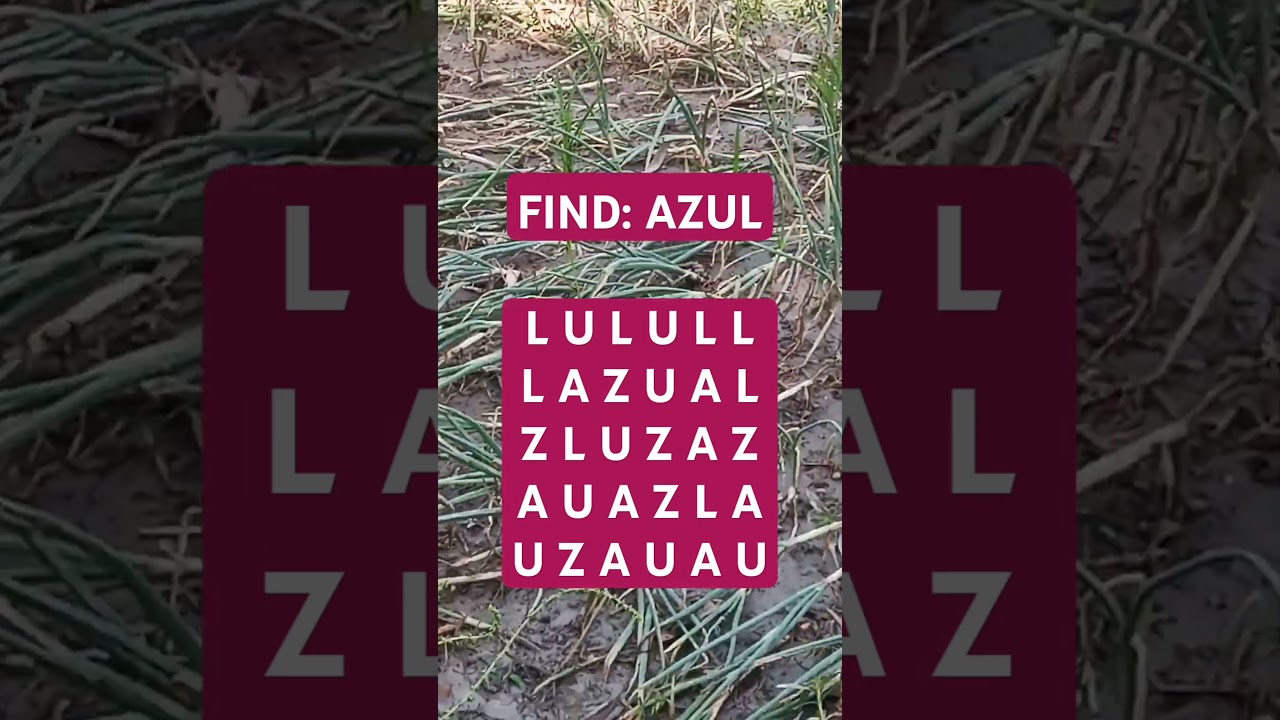 Observation Visual Test: 5 Seconds ForYou To Spot AZUL. Try Your Skills! #search #puzzle #shorts
