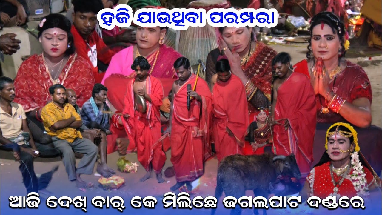 ଜଗଲପାଟ ଦଣ୍ଡରେ ନୂଆଁ ନୂଆଁ ଦୃଶ୍ୟ ଦେଖବାର୍ କେ ମିଲୁଛେ||Panidanda jagalpat ( Pipilipali program 