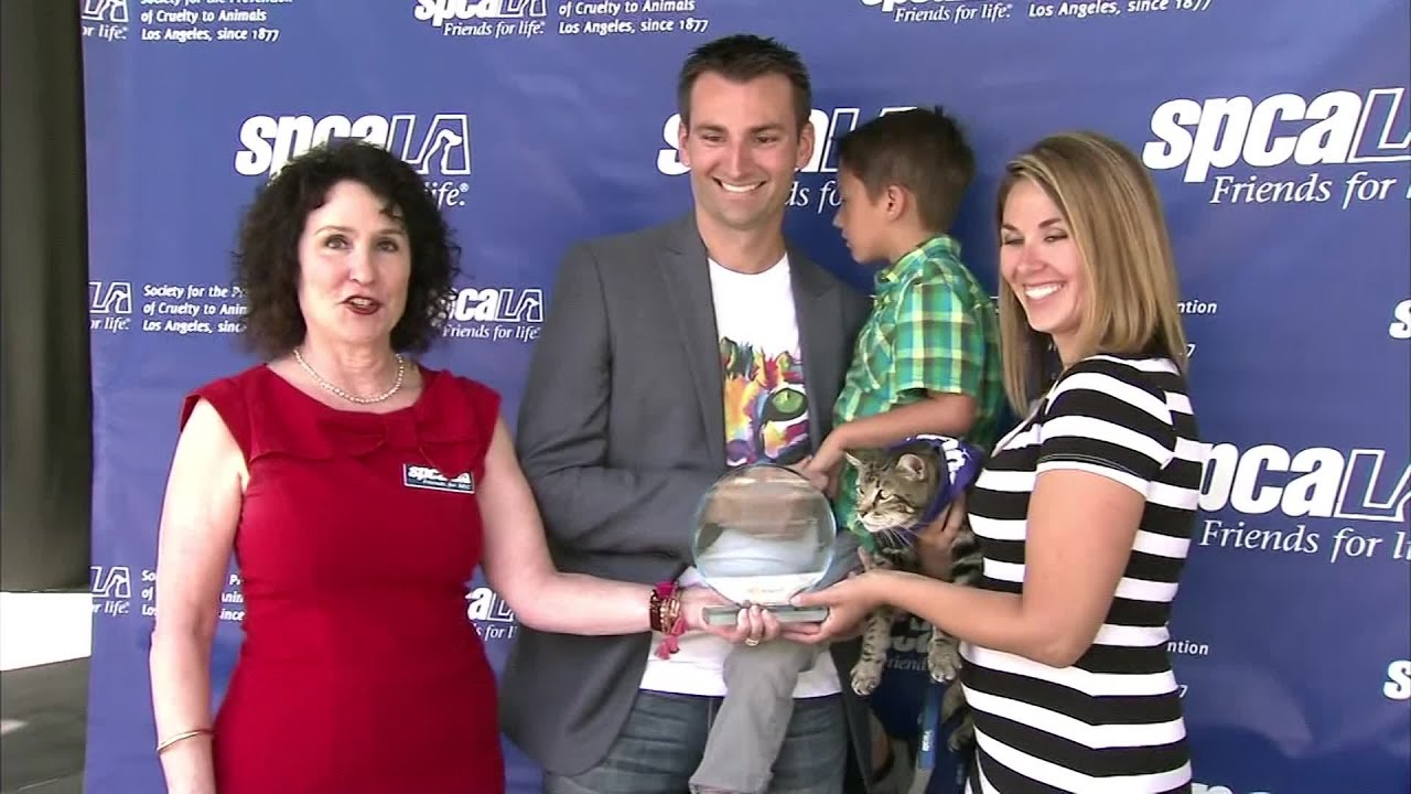 LA SPCA awards National Hero Dog Award to heroic cat who fought dog