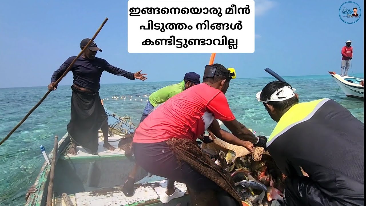 ലക്ഷദ്വീപിലെ ഇങ്ങനെയൊരു മീൻ പിടുത്തം നിങ്ങൾ കണ്ടിട്ടുണ്ടാവില്ല 🐟🦈