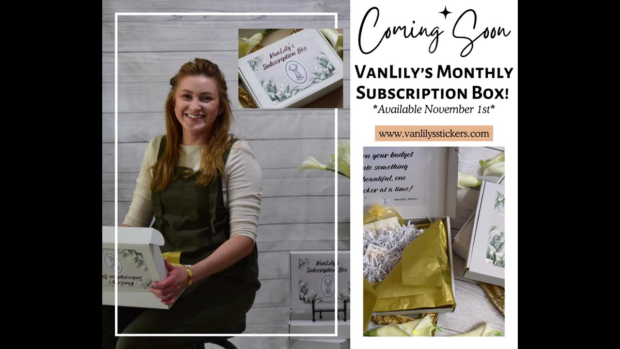 Budget Sticker Kit | Monthly Subscription Box| VanLily's Stickers| #tbm #erincondren #plumpaper