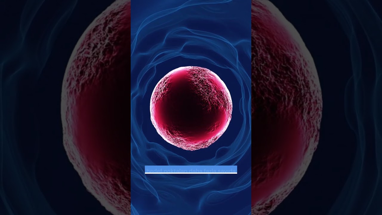 İşitme Kaybında K&ouml;k H&uuml;creTedavisi / Stem Cell Treatment for Hearing Loss