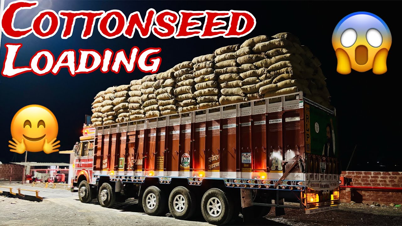 Cottonseed Loading Complete 💯// 17 Feet Height 😱// Life Me First Time Itni Jyada Height Bhari #like 