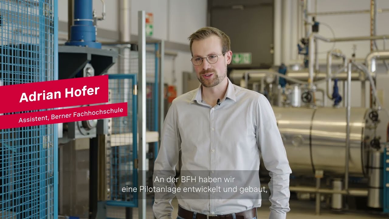 Scrimber: Innovatives Holzprodukt für eine nachhaltige Zukunft