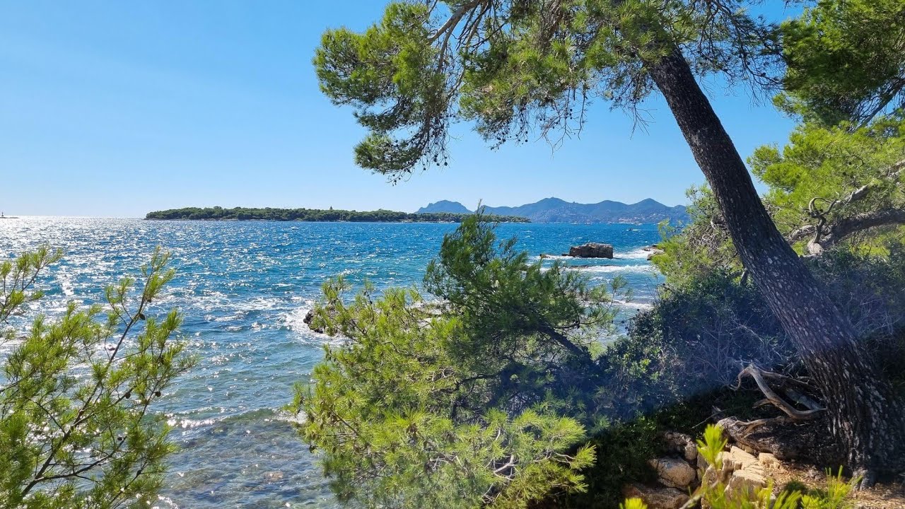 L'île sainte Marguerite (Alpes maritimes)
