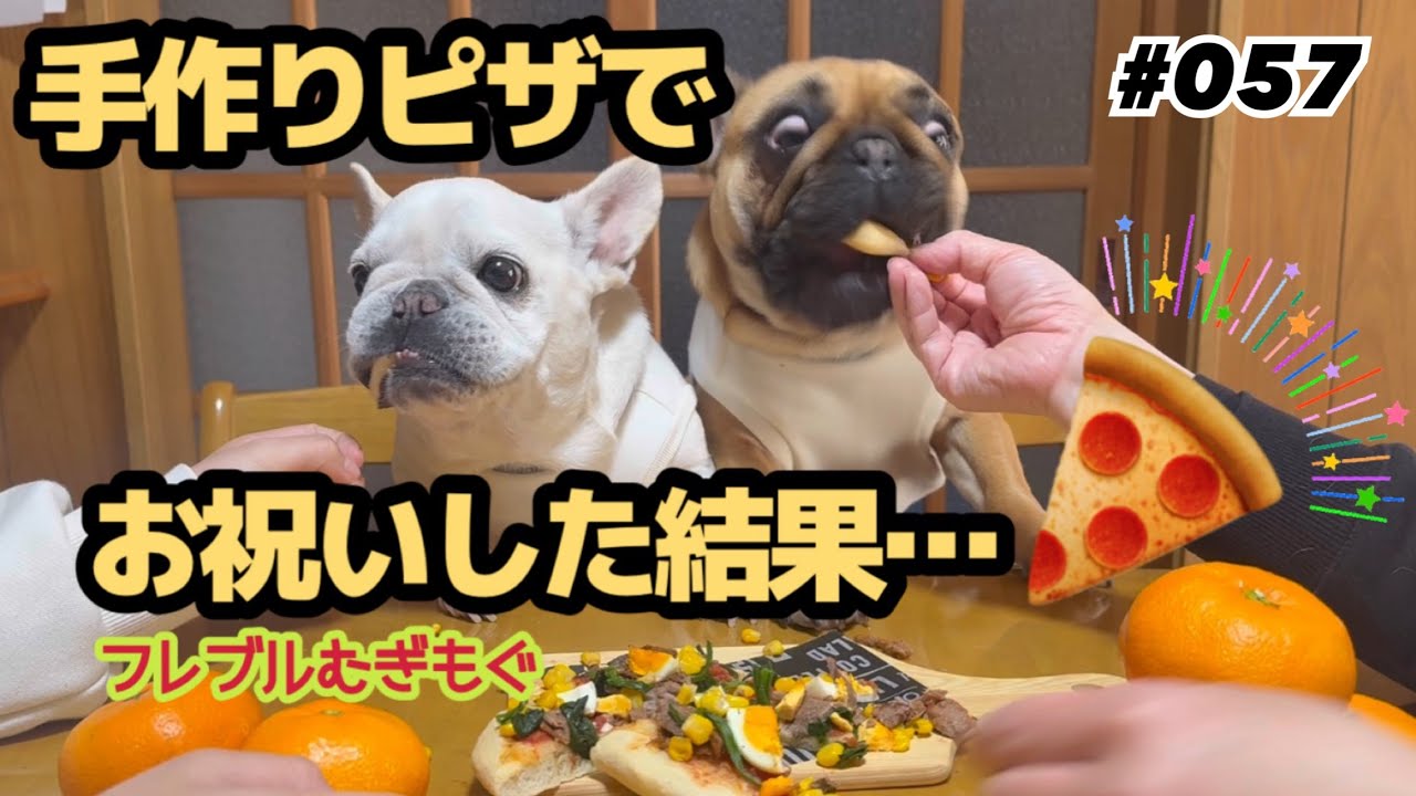 手作りピザでお祝いした結果…🍕フレブルむぎもぐ