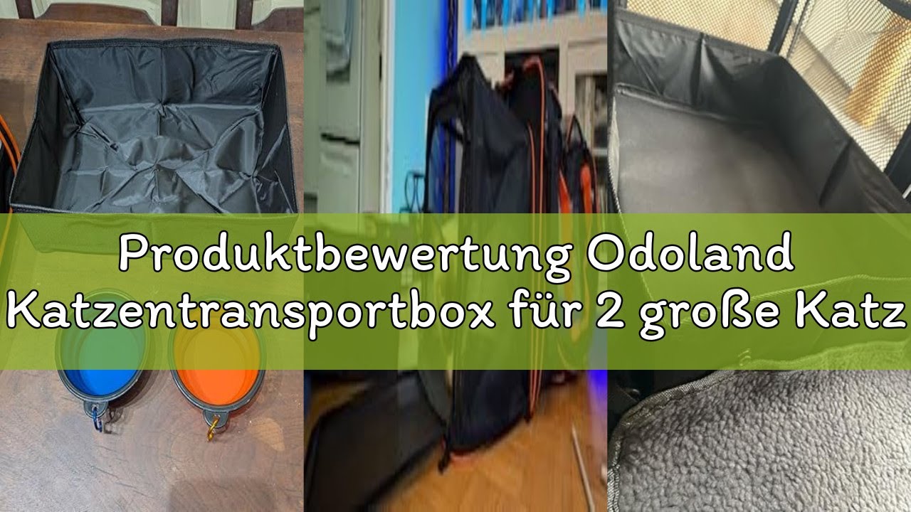 Produktbewertung Odoland Katzentransportbox für 2 große Katzen 60×38×35cm - Faltbar Erweiterbarer Tr