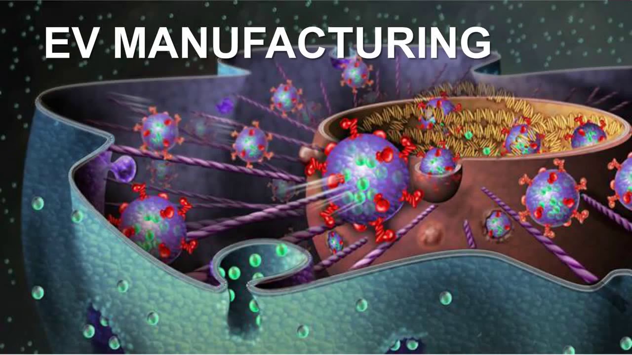 Traves Antes - Manufacturing and characterization of therapeutic exosomes for clinical studies