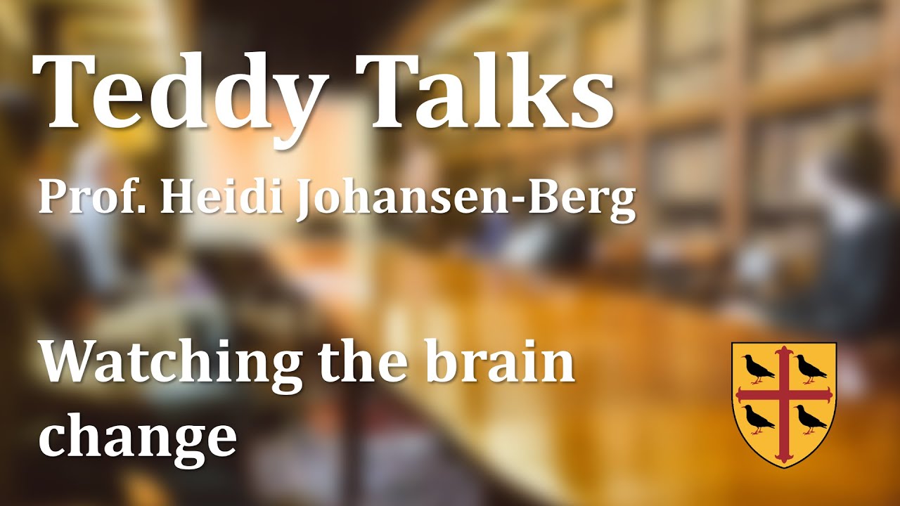 Teddy Talks: Watching the brain change - Professor Heidi Johansen-Berg