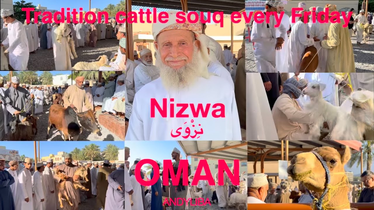 Nizwa Goat Market  سوق نزوى للمواشي  Sultanate of Oman 2023