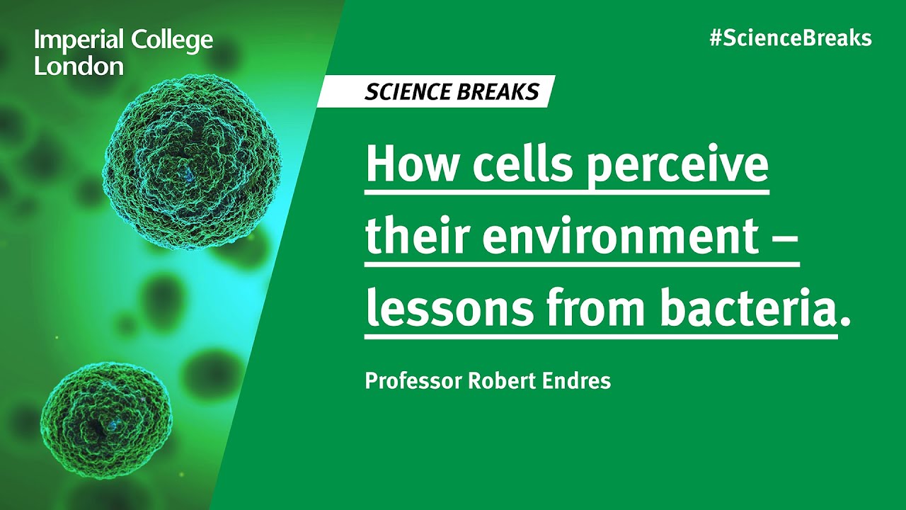 Science Breaks: How cells perceive their environment