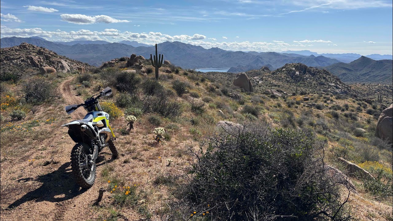 Bartlett Lake AZ Singletrack