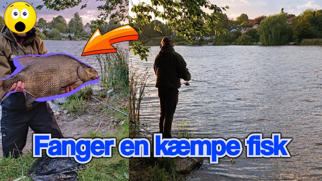 Fanger en Kæmpe Brasen !!!