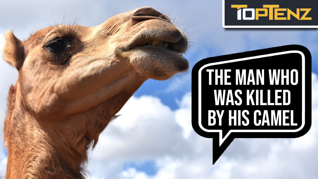10 More Bizarre and Unusual Deaths From History