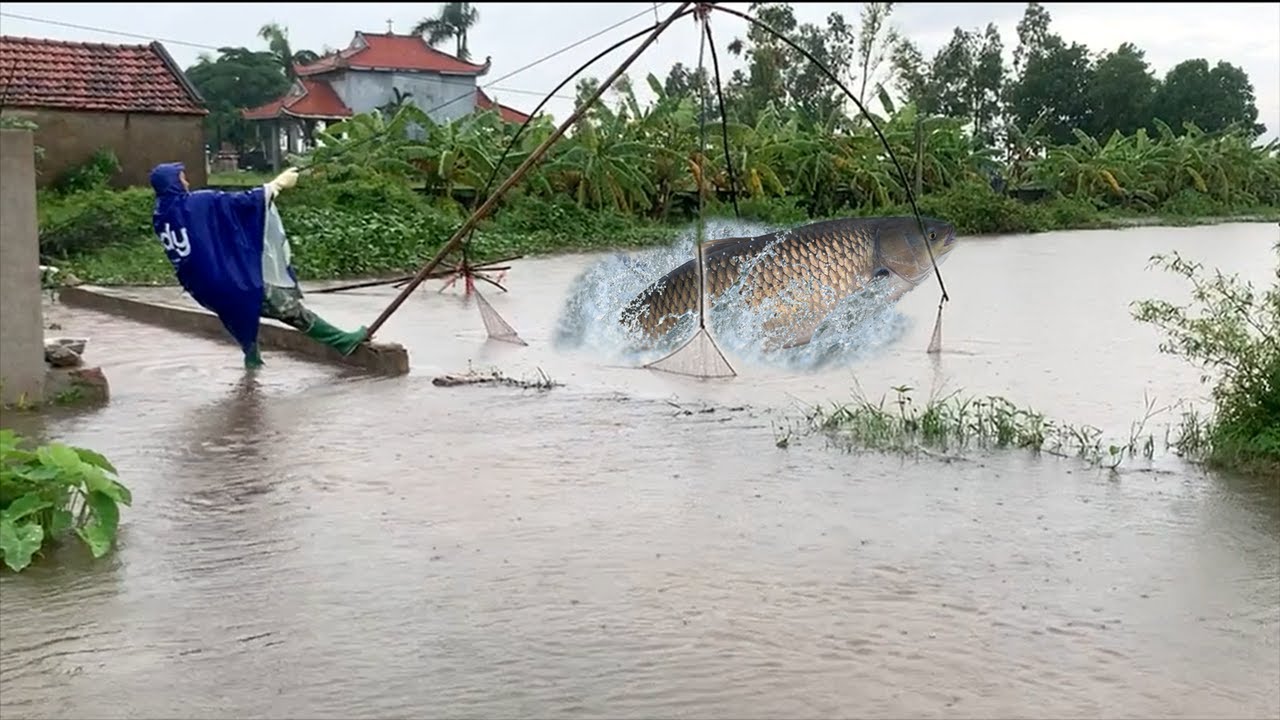 Những pha kéo vó thần sầu mùa lũ - Những hình ảnh chưa từng được công chiếu