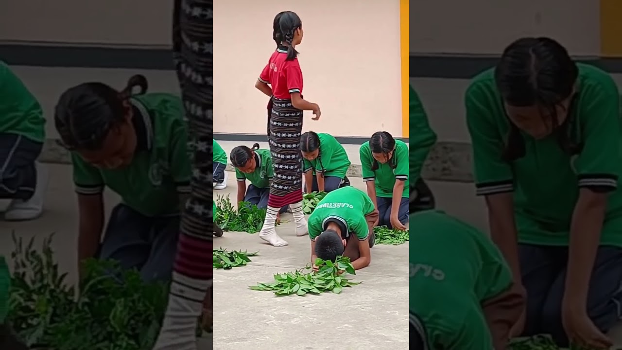 Skit ( drama ) on World Environment Day | Environmental science drama | Save plants Save lives | SPF
