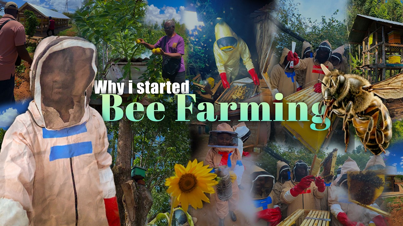 Why I Started Beekeeping (It's Not For Honey)