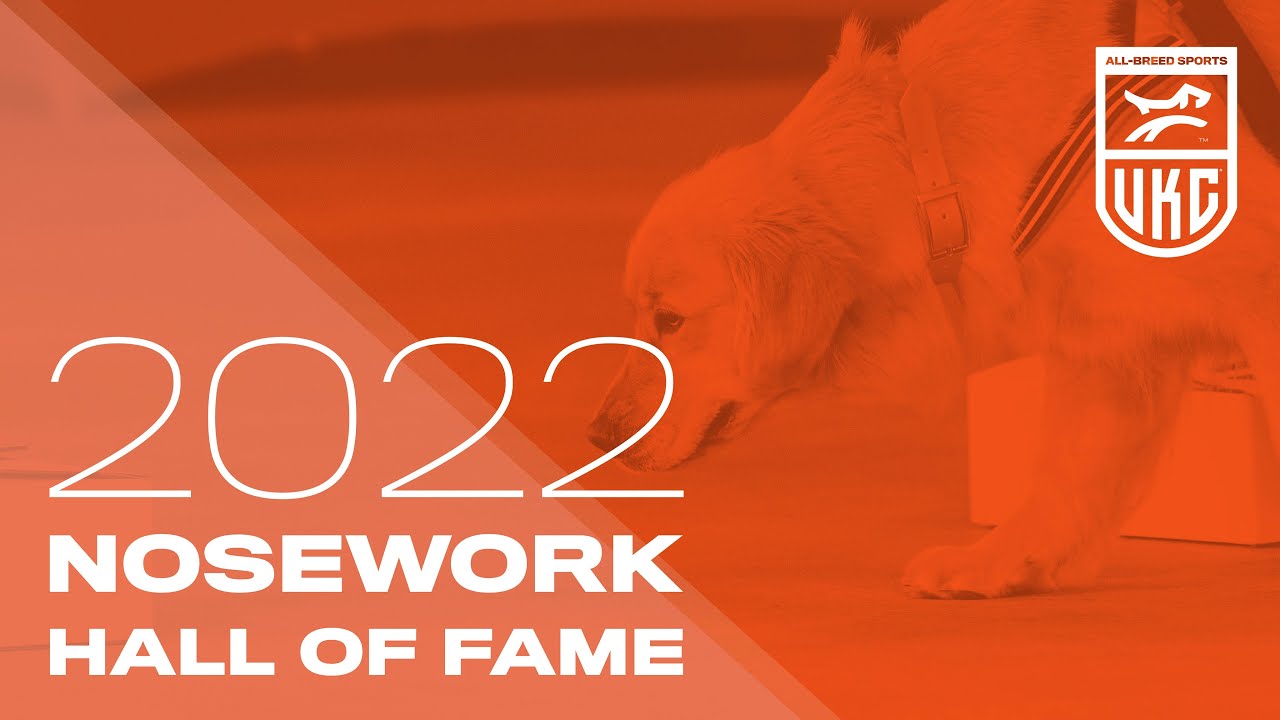 UKC Nosework Hall of Fame Competition