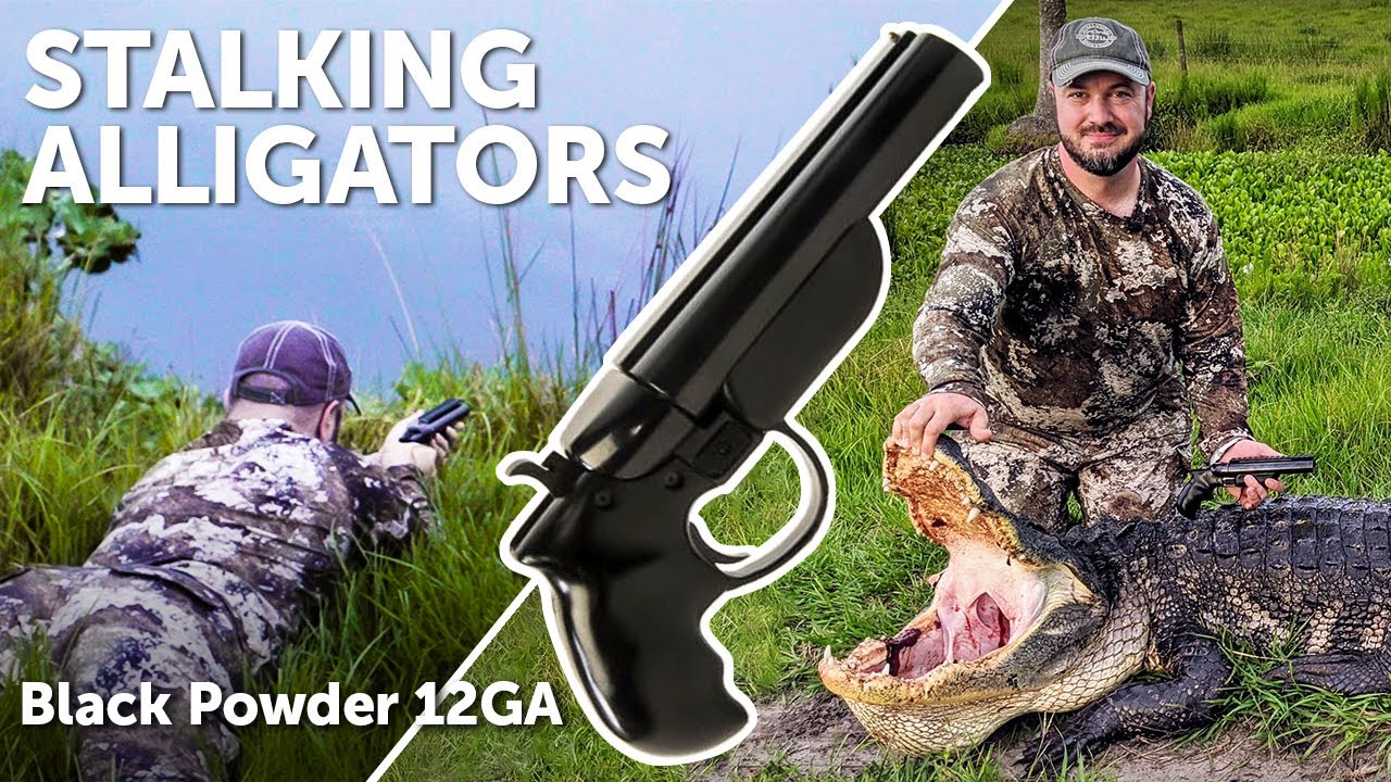 Two Huge Florida Gators VS Diablo 12 Gauge Pistol