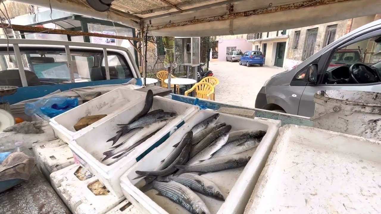 Νότια Κέρκυρα ΛΕΥΚΙΜΗ, για ψάρια, South Corfu Lefkimi, going to buy fishes