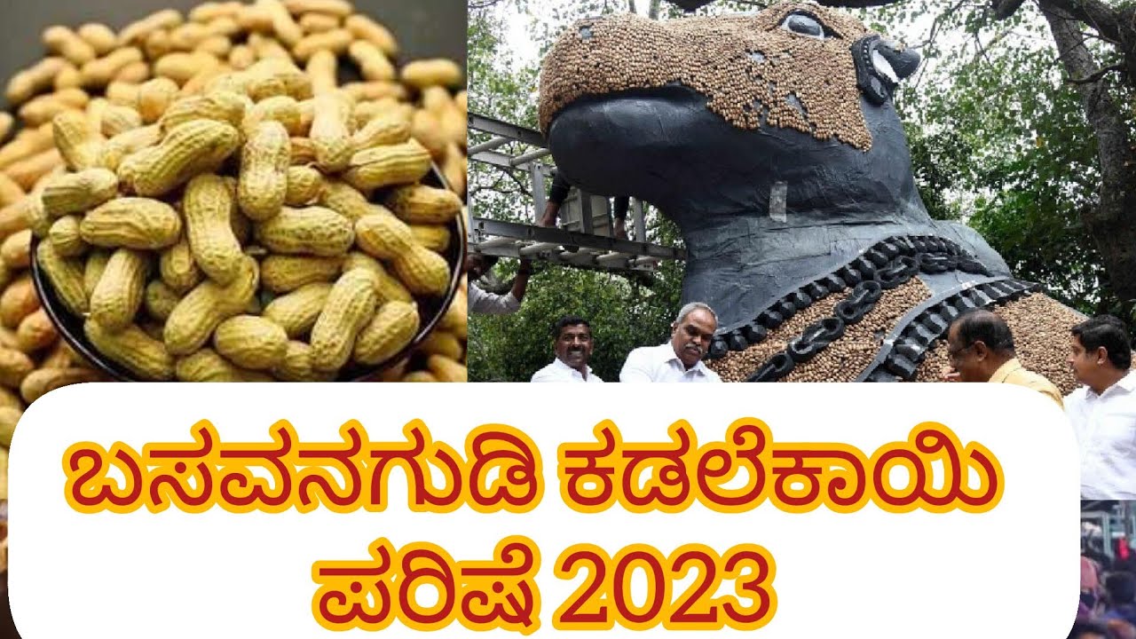 #Kadlekai Parishe 2023 | Basavanagudi Kadlekayi Parishe 2023 | #travelNewsBureau |#HemanthBidare |