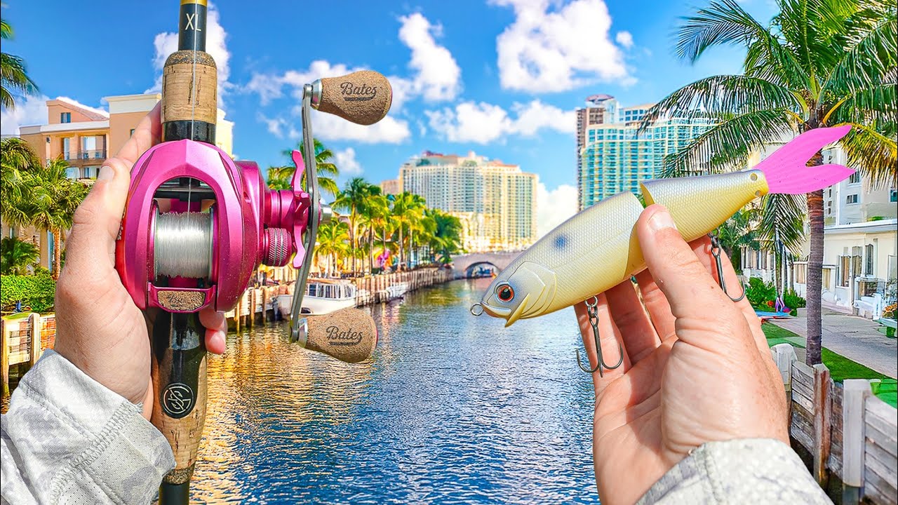 Searching URBAN Canals For EXOTIC Fish - Fishermen's Paradise