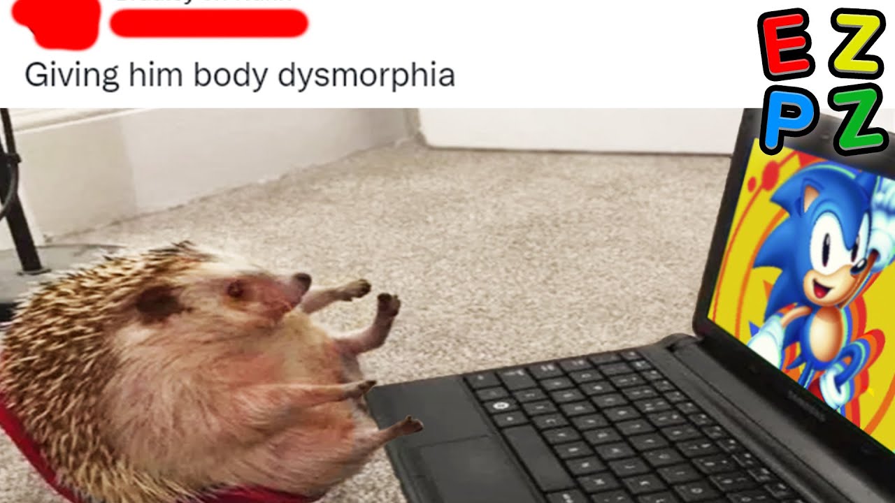 r/Nonpoliticaltwitter · he is perfect