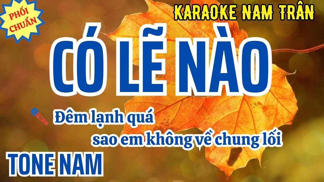 Karaoke Có Lẽ Nào Tone Nam | Nam Trân