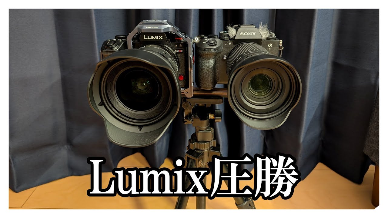 a1II VLOG 08：S1IIEと夜間歩行撮り比べ 20251230