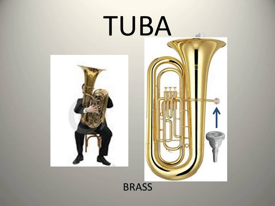 Orchestral Instruments Bingo With names
