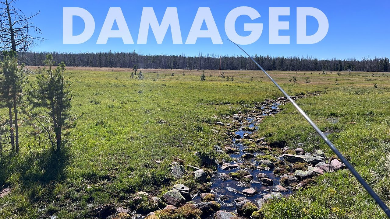 The Heartbreak and Bliss of Tiny Creek Fishing (Tenkara Fly Fishing)