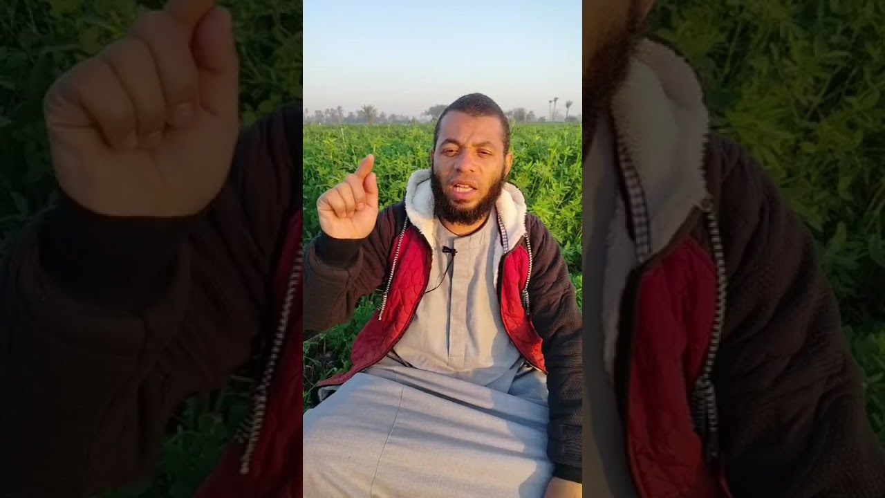 أحمد صلاح.... عقيدة المسلمين في المسيح عيسى بن مريم عليه السلام .