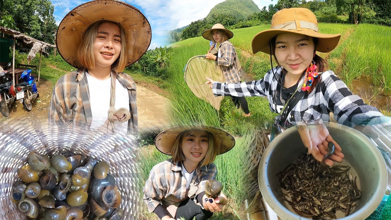 Went to catch clams in the middle of the rice field with my sister-in-law.