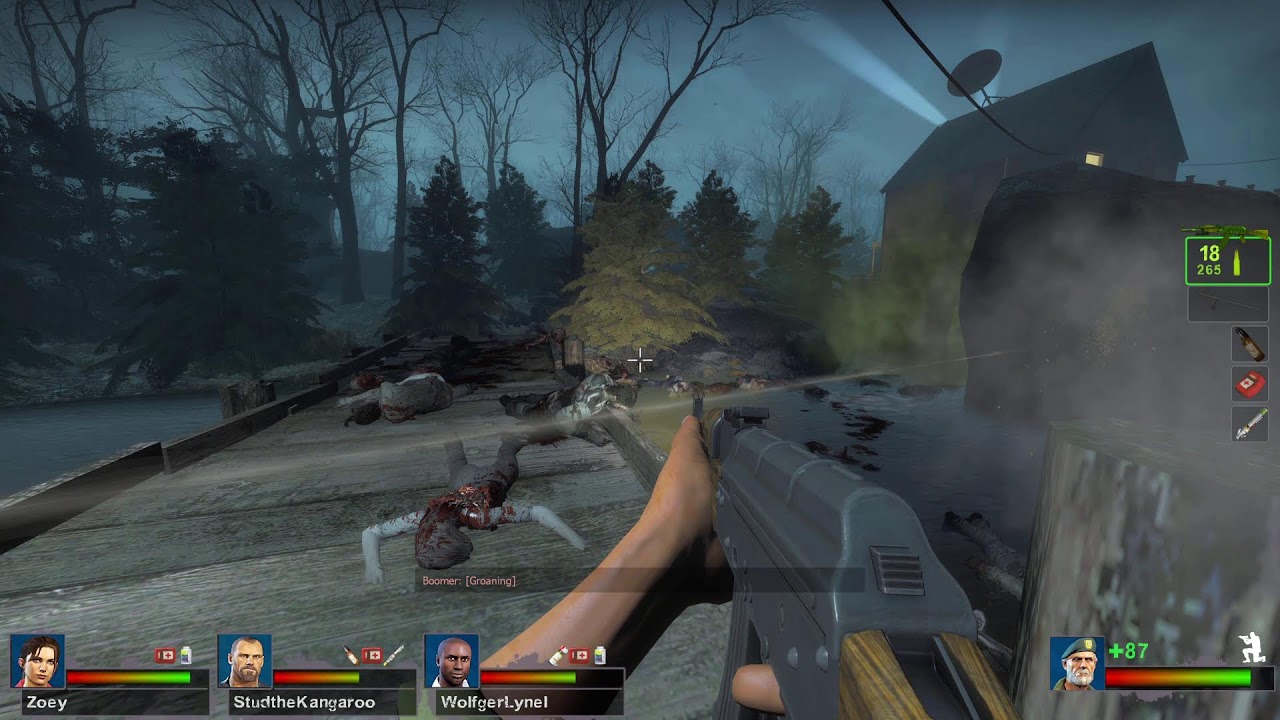 L4D2: IT'S ZOMBIES!