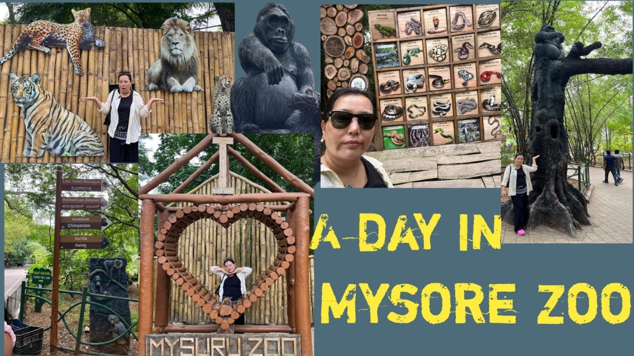Had a pleasant day at Animal planet || Mysore || South India || #tibetan youtuber