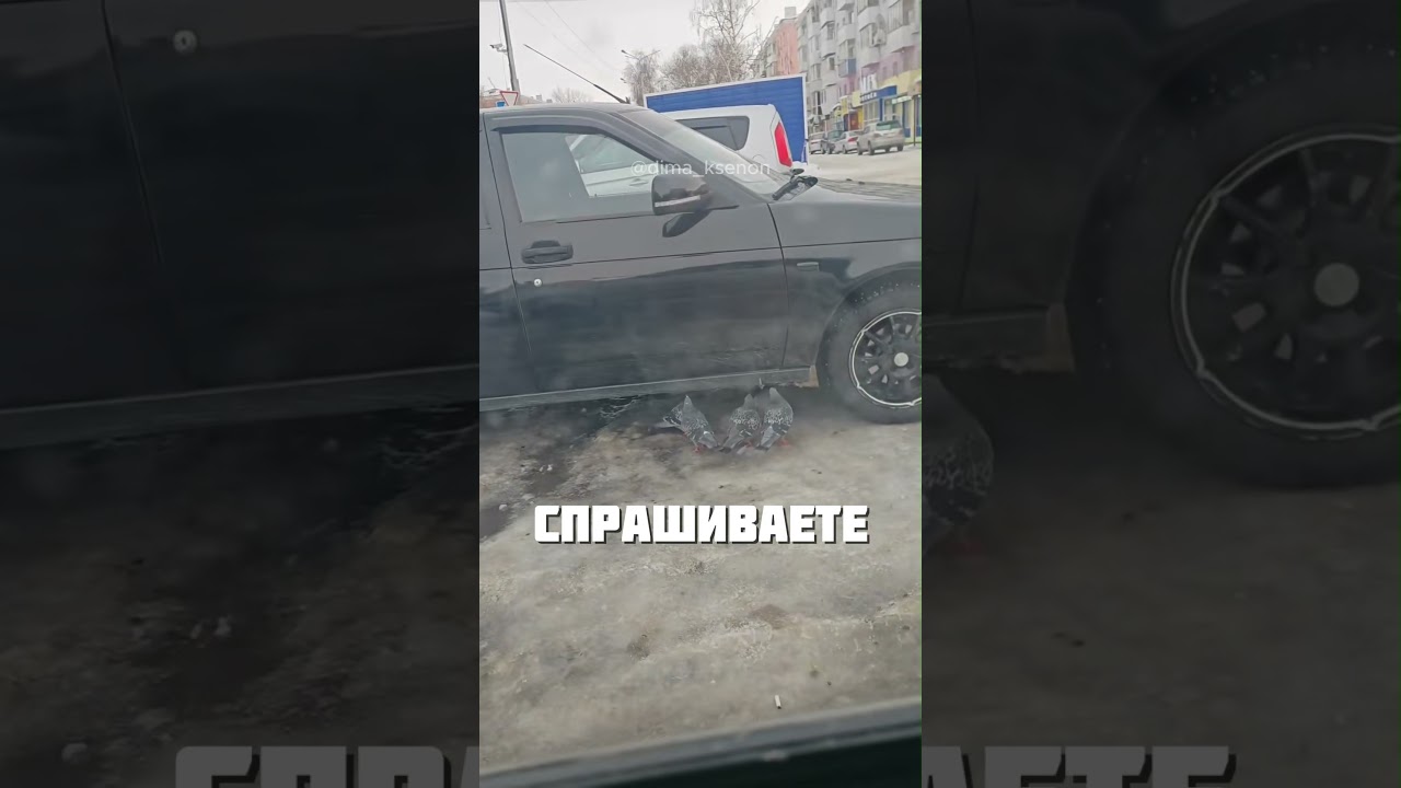 ПРАВДА КУДА ПРОЩЕ @dima_ksenon