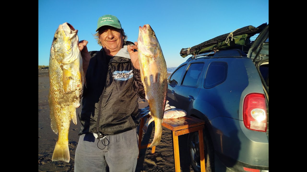 LAS TREMENDAS CORVINAS DE SAN BLAS!! PASION POR LA PESCA