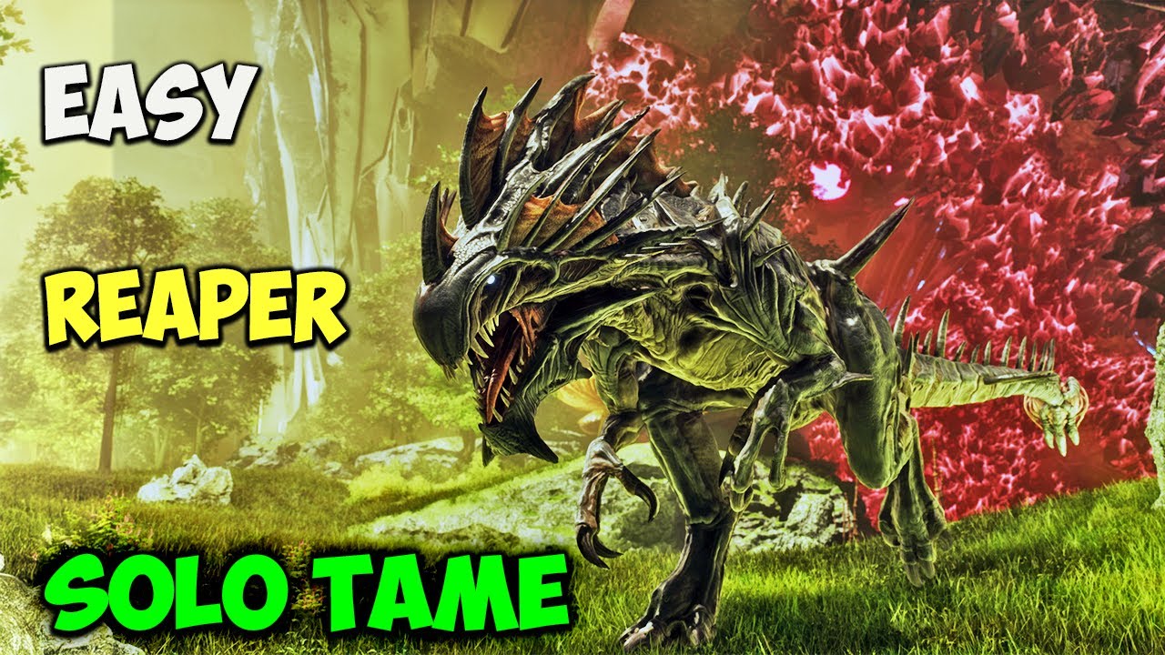 Valguero: ЛЕГКОЕ и СОЛО руководство по приручению Жнеца в ARK Survival Ascended
