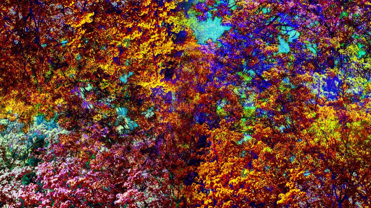 Angagn (microtonal full album)