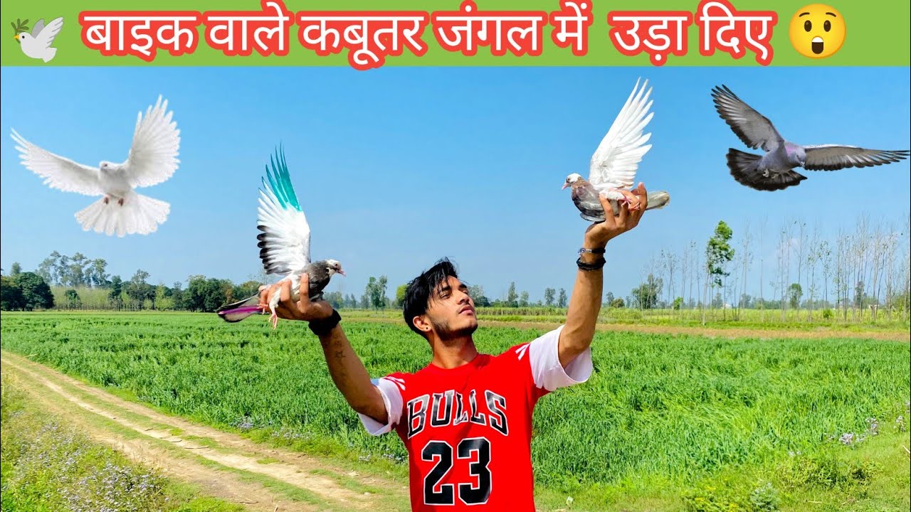 bike vale kabutar jangle mein uda diye 😳🕊️